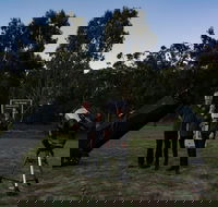 Stargazing Busselton with Mobile Observatory - eAccommodation