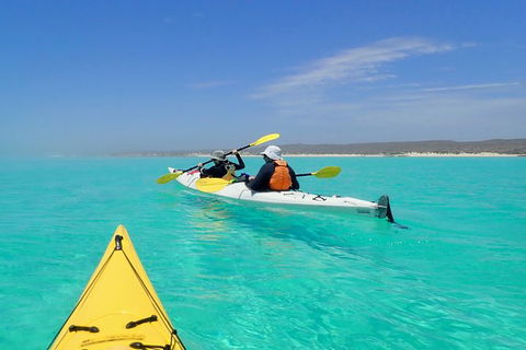 Lagoon Explorer - Ningaloo Reef Full-Day Kayaking And Snorkeling Adventure - eAccommodation 7