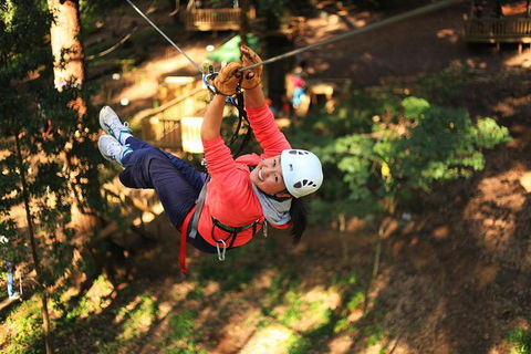 Trees Adventure Lane Poole Park - Treetop & Zipline Experience - eAccommodation 0