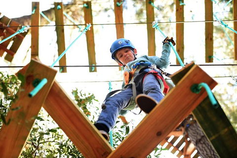 Trees Adventure Lane Poole Park - Treetop & Zipline Experience - eAccommodation 1