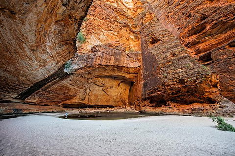 Bungle Bungle Scenic Flights, Domes & Cathedral Gorge Walk - eAccommodation 0