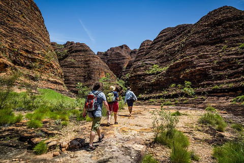 Bungle Bungle Scenic Flights, Domes & Cathedral Gorge Walk - eAccommodation 4