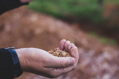 Vasse Felix Epicurean Tour And Tasting Experience With 5 Course Lunch - eAccommodation 8