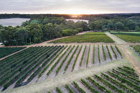 Vasse Felix Epicurean Tour And Tasting Experience With 5 Course Lunch - eAccommodation 7