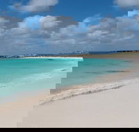 Pink Lake and Abrolhos Full Day Fly and Flipper - eAccommodation