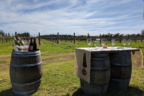 Margaret River Small-Group Full-Day Wine & Food Tour - eAccommodation 4