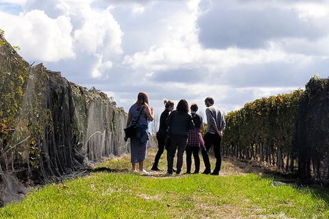 Margaret River Small-Group Full-Day Wine & Food Tour - eAccommodation 5