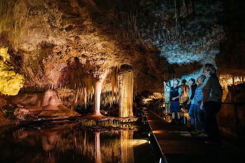 Margaret River Small-Group Full-Day Wine & Food Tour - eAccommodation 15