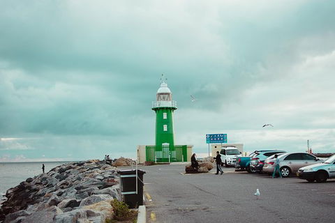 Penguin Island And Fremantle - Canoe, Chocolate & Coffee - eAccommodation 1