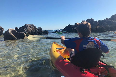 Penguin Island And Fremantle - Canoe, Chocolate & Coffee - eAccommodation 2