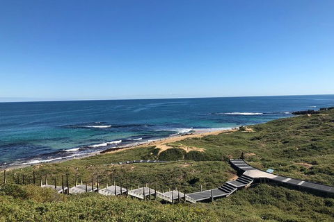 Penguin Island And Fremantle - Canoe, Chocolate & Coffee - eAccommodation 3