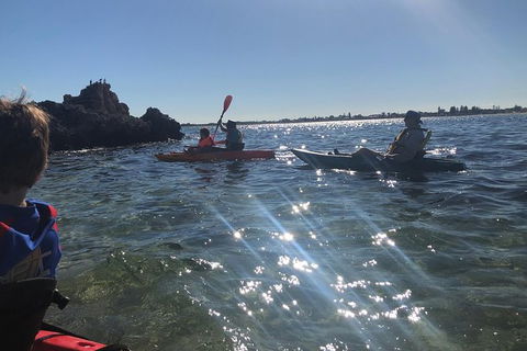 Penguin Island And Fremantle - Canoe, Chocolate & Coffee - eAccommodation 11