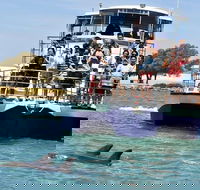 Mandurah Dolphin and Scenic Marine Cruise - eAccommodation