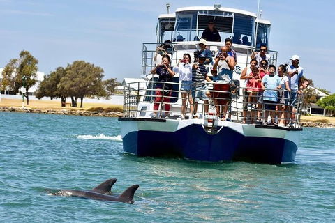 Mandurah Dolphin And Scenic Marine Cruise - eAccommodation 0