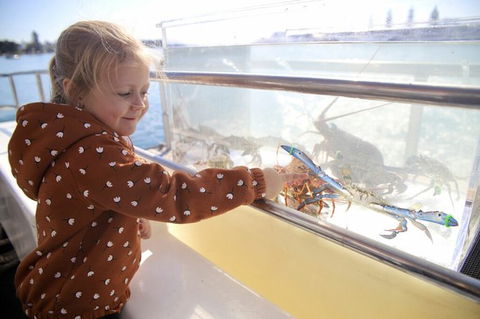 Mandurah Dolphin And Scenic Marine Cruise - eAccommodation 5