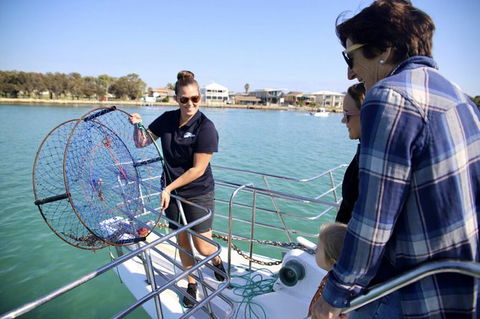Mandurah Dolphin And Scenic Marine Cruise - eAccommodation 16