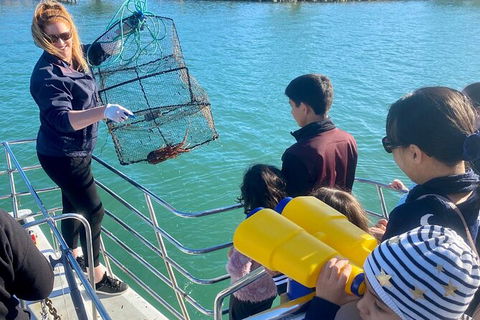 Mandurah Dolphin And Scenic Marine Cruise - eAccommodation 18