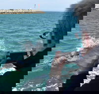 Mandurah Dolphin Island Adventure - eAccommodation