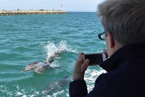 Mandurah Dolphin Island Adventure - eAccommodation 0
