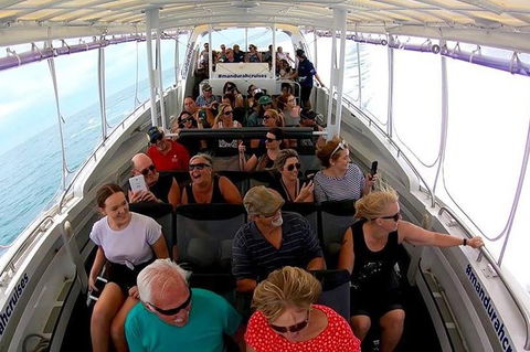 Mandurah Dolphin Island Adventure - eAccommodation 1