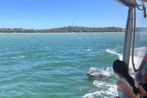 Mandurah Dolphin Island Adventure - eAccommodation 9