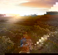 Leeuwin Estate Food and Wine Experience - eAccommodation