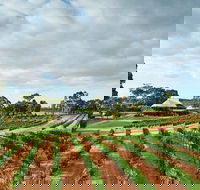Vasse Felix Winery Tour and Tasting - eAccommodation