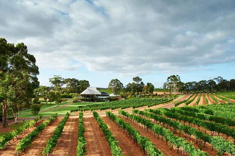 Vasse Felix Winery Tour And Tasting - eAccommodation 0