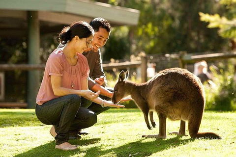 Very Best Of Perth Tour - Wildlife Park & City Highlights Tour - eAccommodation 0