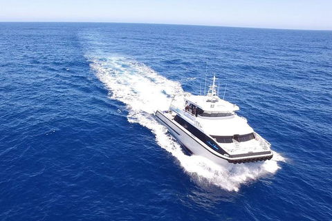 Augusta Whale Watching Eco Tour - eAccommodation 8