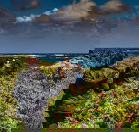 Guided Walks on the Cape to Cape - Wilyabrup Cliffs - eAccommodation