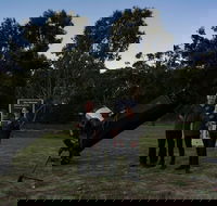 Dusk to Dawn Astronomy Margaret River - eAccommodation