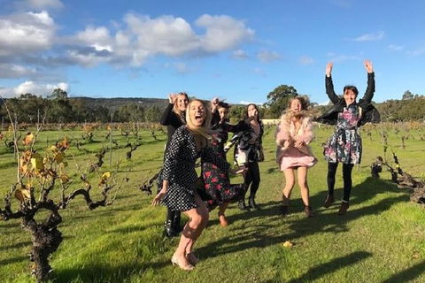 VW Kombi Food, Wine And More Tour (bring The Kids!) - eAccommodation 3