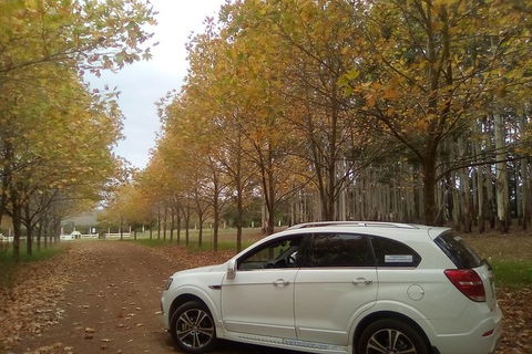 Private Wine Tasting Tour On A Budget For Group Up To 6 People - eAccommodation 1