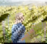 5 Hours Wineries Coffee Tasting Forest  Lunch at the Berry Farm - eAccommodation