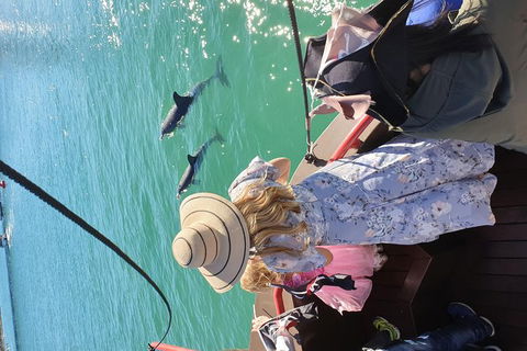 Pirate Ship Lunch Cruise (1.5hr) - eAccommodation 7