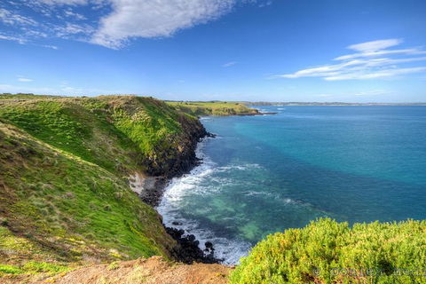 Phillip Island Penguin Parade Entry And Express Shuttle From Melbourne - eAccommodation 1