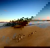 Phillip Island Ultimate Penguin Eco Tour or Skybox Experience - eAccommodation