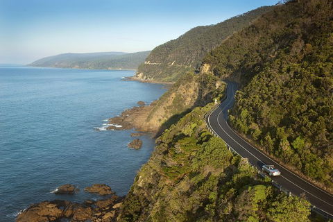 Private Great Ocean Road And Twelve Apostles Tour From Melbourne - eAccommodation 5