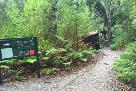 Wilsons Promontory Walking And Sightseeing Tour From Phillip Island - eAccommodation 1