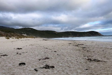 Wilsons Promontory Walking And Sightseeing Tour From Phillip Island - eAccommodation 11