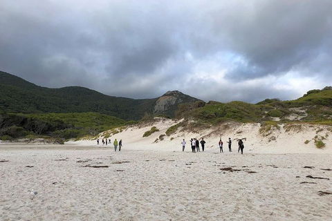 Wilsons Promontory Walking And Sightseeing Tour From Phillip Island - eAccommodation 4