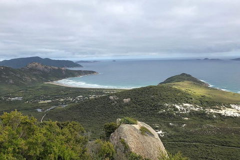 Wilsons Promontory Walking And Sightseeing Tour From Phillip Island - eAccommodation 12