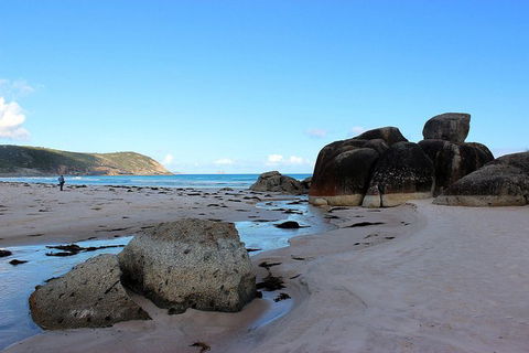 Wilsons Promontory Walking And Sightseeing Tour From Phillip Island - eAccommodation 10
