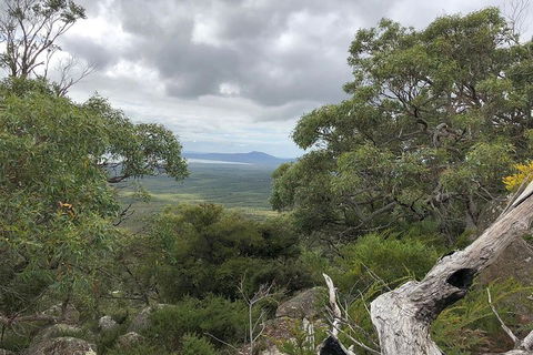 Wilsons Promontory Walking And Sightseeing Tour From Phillip Island - eAccommodation 13