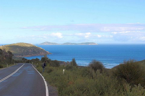 Wilsons Promontory Walking And Sightseeing Tour From Phillip Island - eAccommodation 2