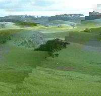 Day Tour of Phillip Island  Surrounding Region - eAccommodation