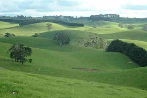Day Tour Of Phillip Island & Surrounding Region - eAccommodation 0