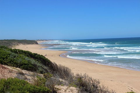 Day Tour Of Phillip Island & Surrounding Region - eAccommodation 1