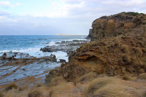 Day Tour Of Phillip Island & Surrounding Region - eAccommodation 11